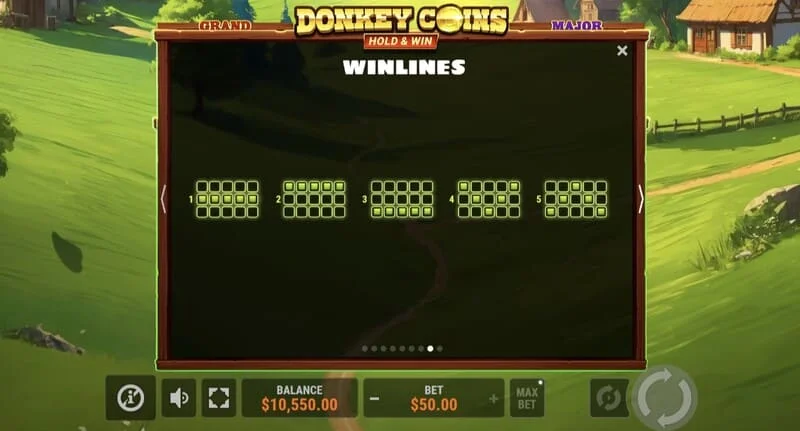 Donkey Coins Hold & Win - veľká výhra v špeciálnom režime